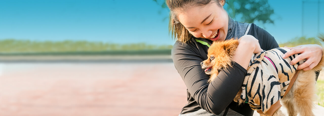 Small dog in sweatshirt being held by pet parent